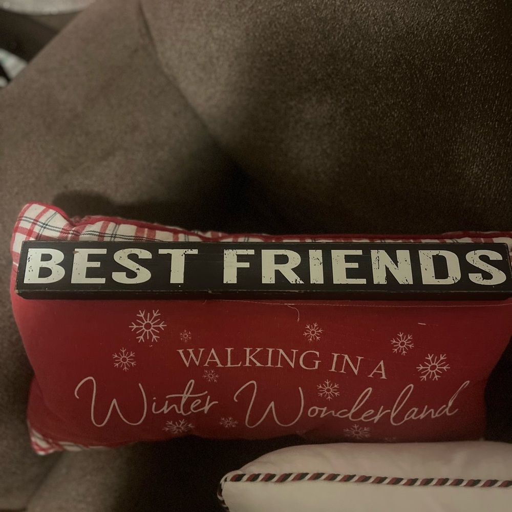 Best Friends wood home decor